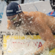 Para Natation Mondiaux 2025 : Les Bleus bouclent les championnats avec 3 dernières médailles