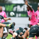 Top 14 2025-2026 (J2) : Toulouse, Pau et Bayonne font le plein, Clermont en rade, le résumé du multirugby