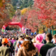 Résultats et classement Marathon du Beaujolais 2025
