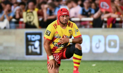 Transferts Rugby Perpignan, Bayonne, Jean Kleyn, les infos du mercredi 12 novembre