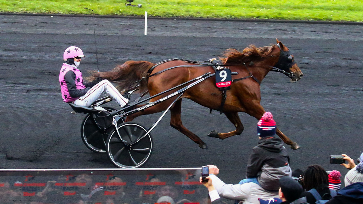 Prix d'Amérique 2026 Heure, chaîne TV et engagés