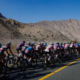 UAE Tour 2026 Parcours complet et profils des étapes