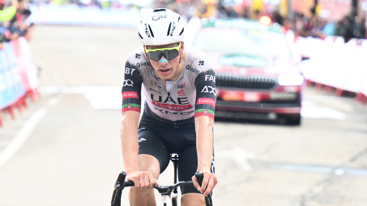 2ème étape Tour d'Algarve 2026 - Classement et résultats