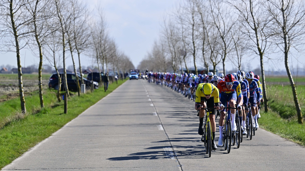 Tour de Bruges 2026 découvrez le parcours et le profil de la classique flamande