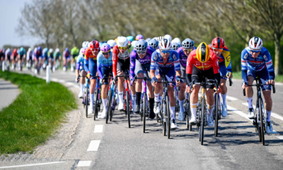 Grand Prix de l'Escaut 2026 découvrez le parcours détaille et le profil de Scheldeprijs