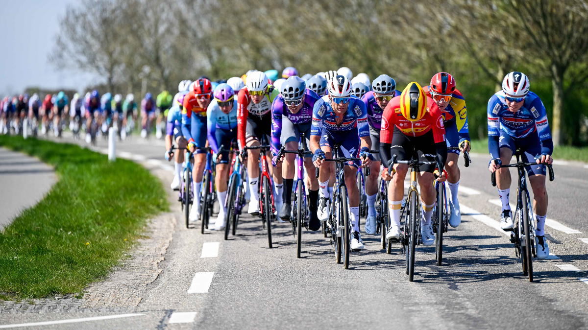 Grand Prix de l'Escaut 2026 découvrez le parcours détaille et le profil de Scheldeprijs