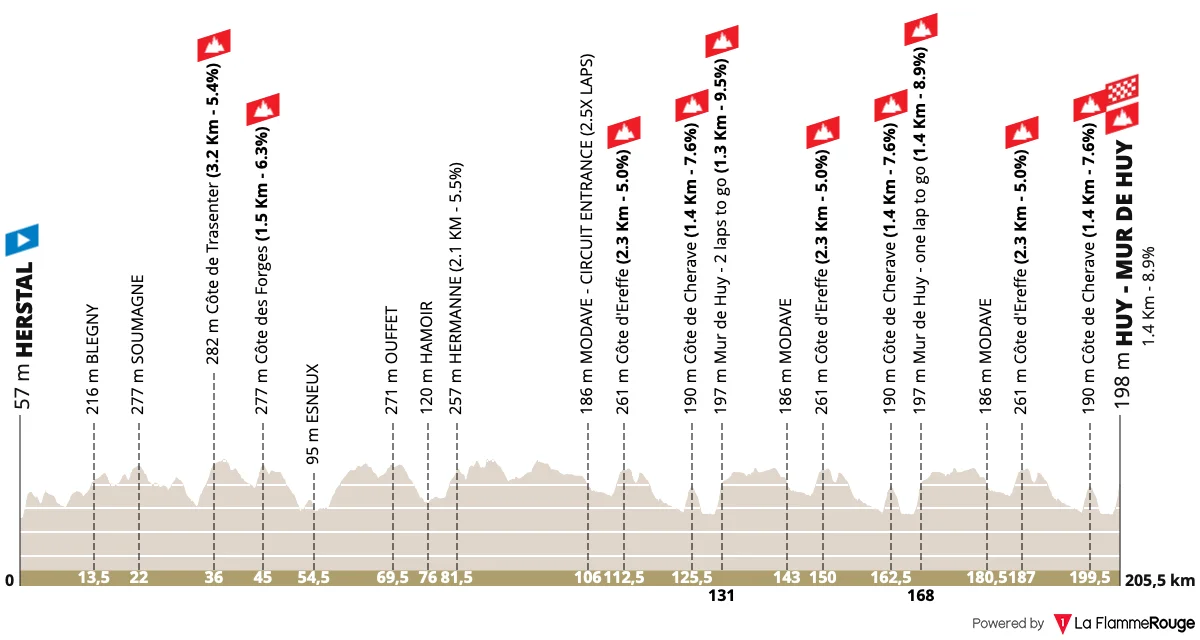 Le profil de La Flèche Wallonne 2026