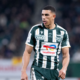 Pau loupe le quart en Challenge Cup après sa défaite sur le pelouse du Zebre Parme