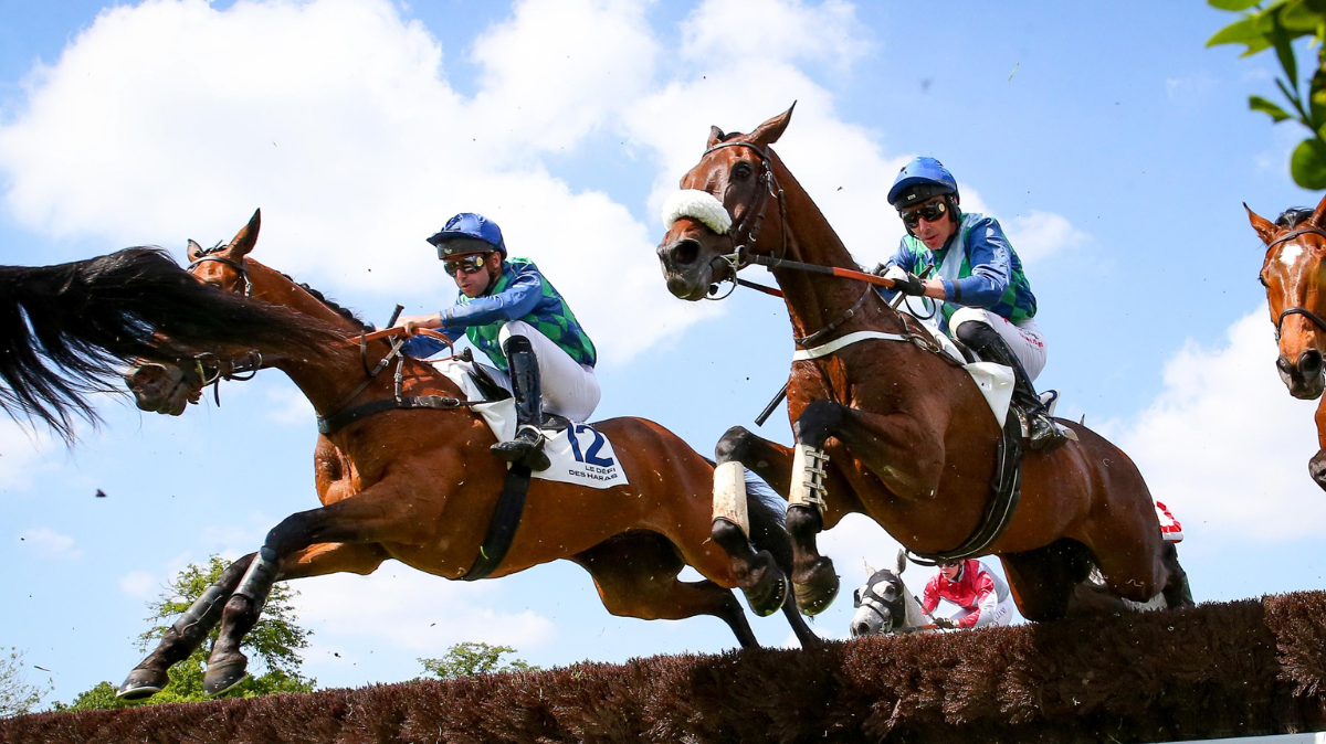 Grand Steeple-Chase de Paris 2026 Chaîne TV, Heure et Engagés