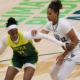 Les 12 Françaises sur la ligne de départ en WNBA