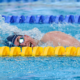 Les Bleus poursuivent leur belle récolte aux World Series de para natation à Taverny