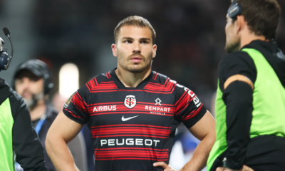 Les notes de Toulon-Toulouse Dupont flamboyant, Serin transparent