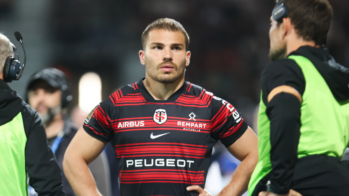Les notes de Toulon-Toulouse Dupont flamboyant, Serin transparent