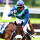 Quatre ans après, Sel Jem remporte de nouveau le Grand Steeple-Chase de Paris