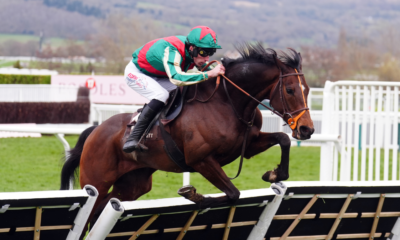 Résultats et classement Grand Steeple-Chase de Paris 2026