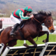 Résultats et classement Grand Steeple-Chase de Paris 2026