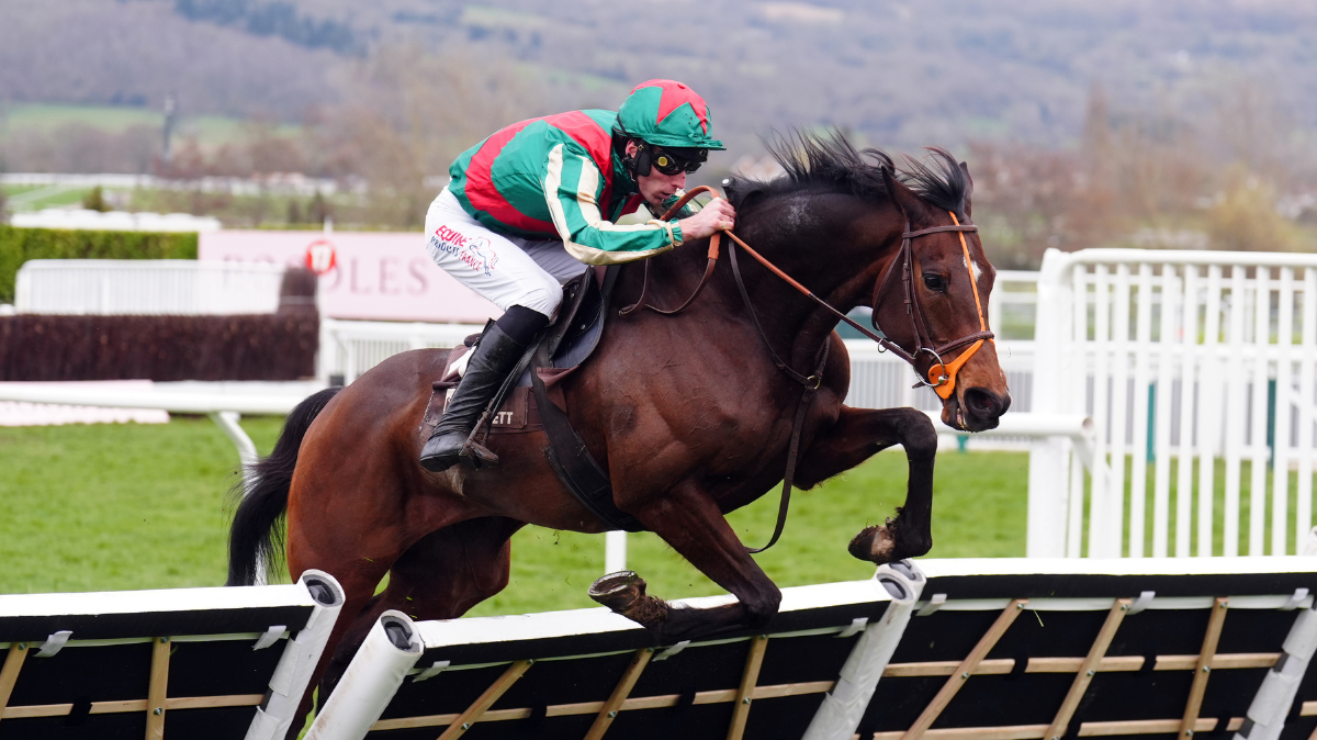 Résultats et classement Grand Steeple-Chase de Paris 2026
