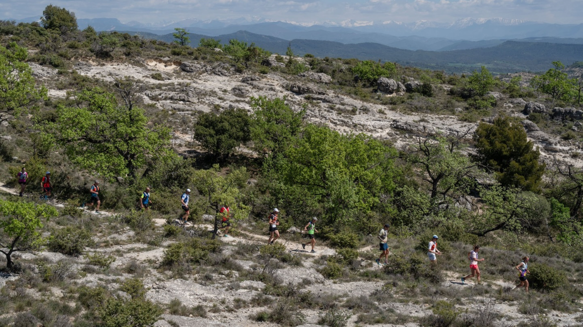 Résultats et classement Trail de Haute Provence 2026 en direct (THP 160)