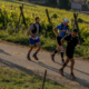 Résultats et classement Ultra-Trail des Chevaliers 2026 en direct (Trail Alsace)