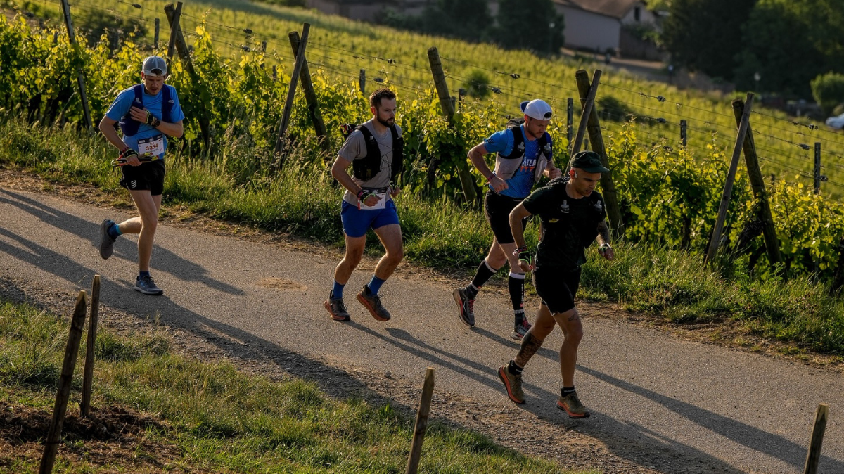 Résultats et classement Ultra-Trail des Chevaliers 2026 en direct (Trail Alsace)