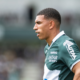 Pau en demi-finale ou en barrage à domicile tous les scénarios avant la dernière journée du Top 14