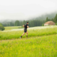 Résultats et classement Ultra 110 km Transju'Trails 2026 en direct