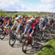 Tour de France 2026 Les compositions des équipes