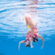 Natation artistique, plongeon, eau libre les chances de médailles françaises aux Championnats d'Europe de natation 2026
