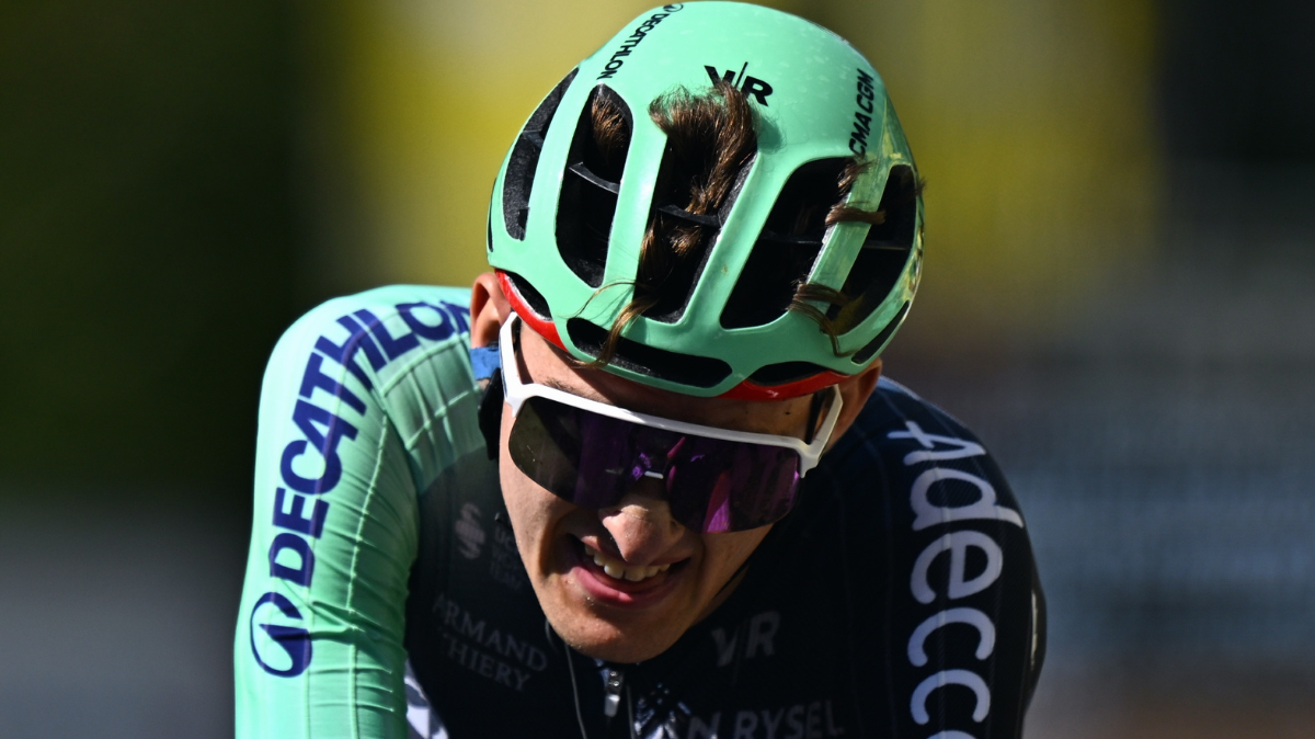 Pogacar roi du Tour, Seixas en blanc les 4 enseignements de la 14e étape du Tour de France 2026 (2)