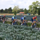 Le parcours détaillé et les favoris du Renewi Tour 2026