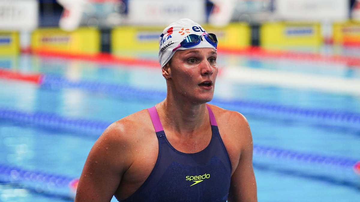 Les Bleues du 4 x 100 m nage libre compostent leur ticket pour la finale européenne