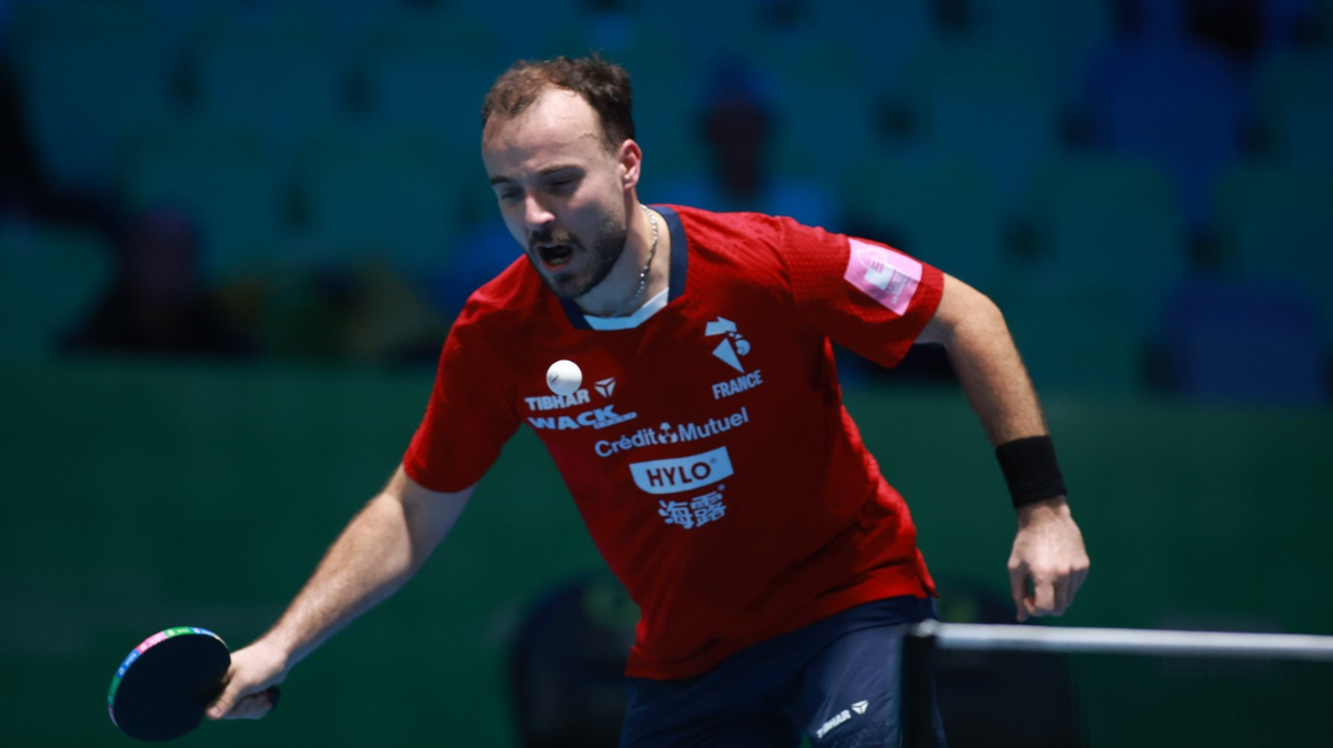 Simon Gauzy sombre face à Dang Qiu score, résumé et résultats du 8e de finale des Championnats d’Europe de tennis de table
